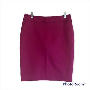 NWT Merona skirt